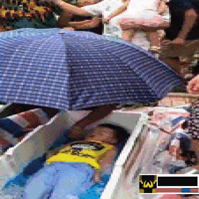 真相|泡沫箱里放冰块 专偷小孩儿肾？！警方公布视频真相